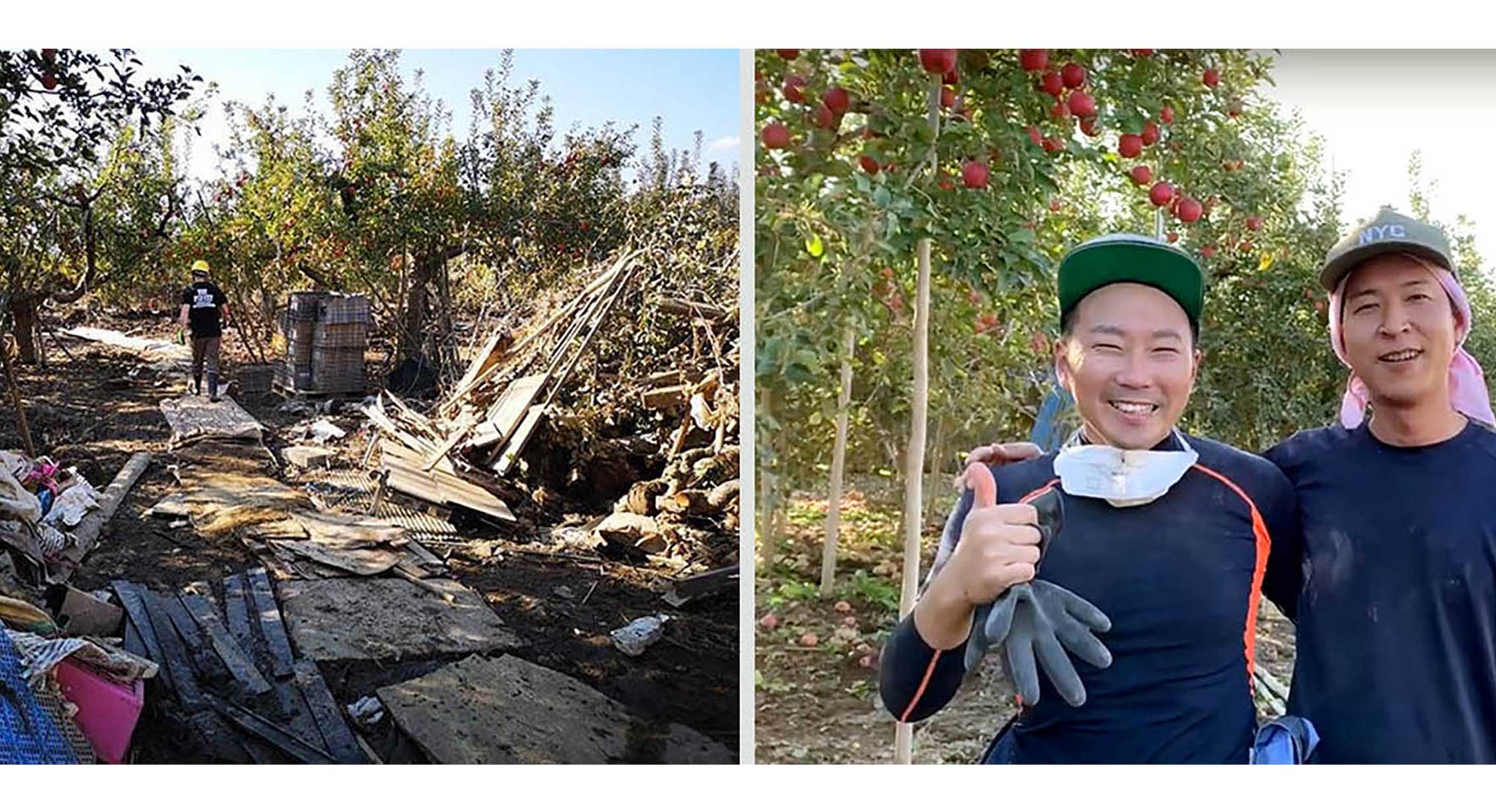 Apple farm destruction in Nagano