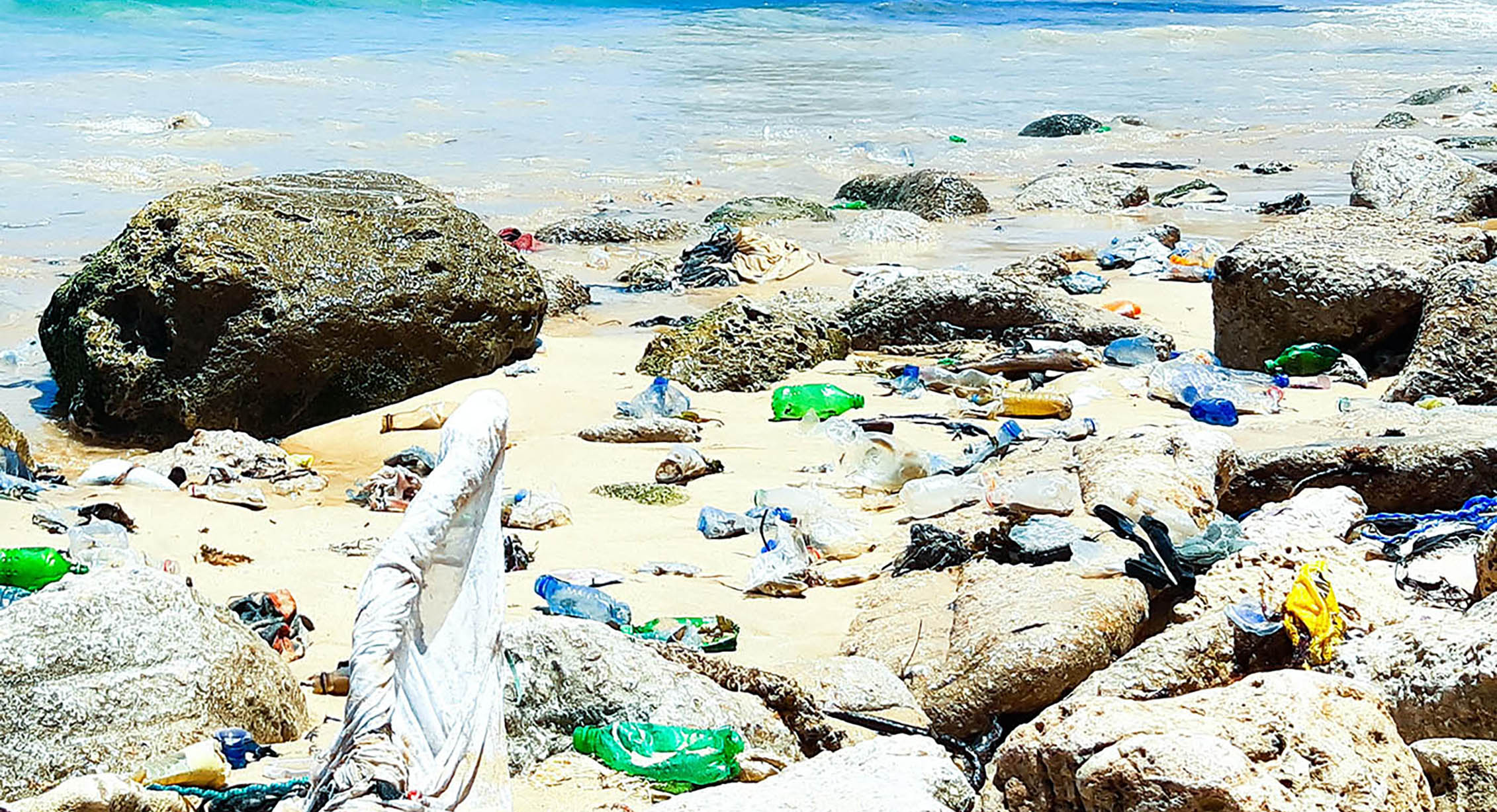 Plastic bottles washed up on a beach