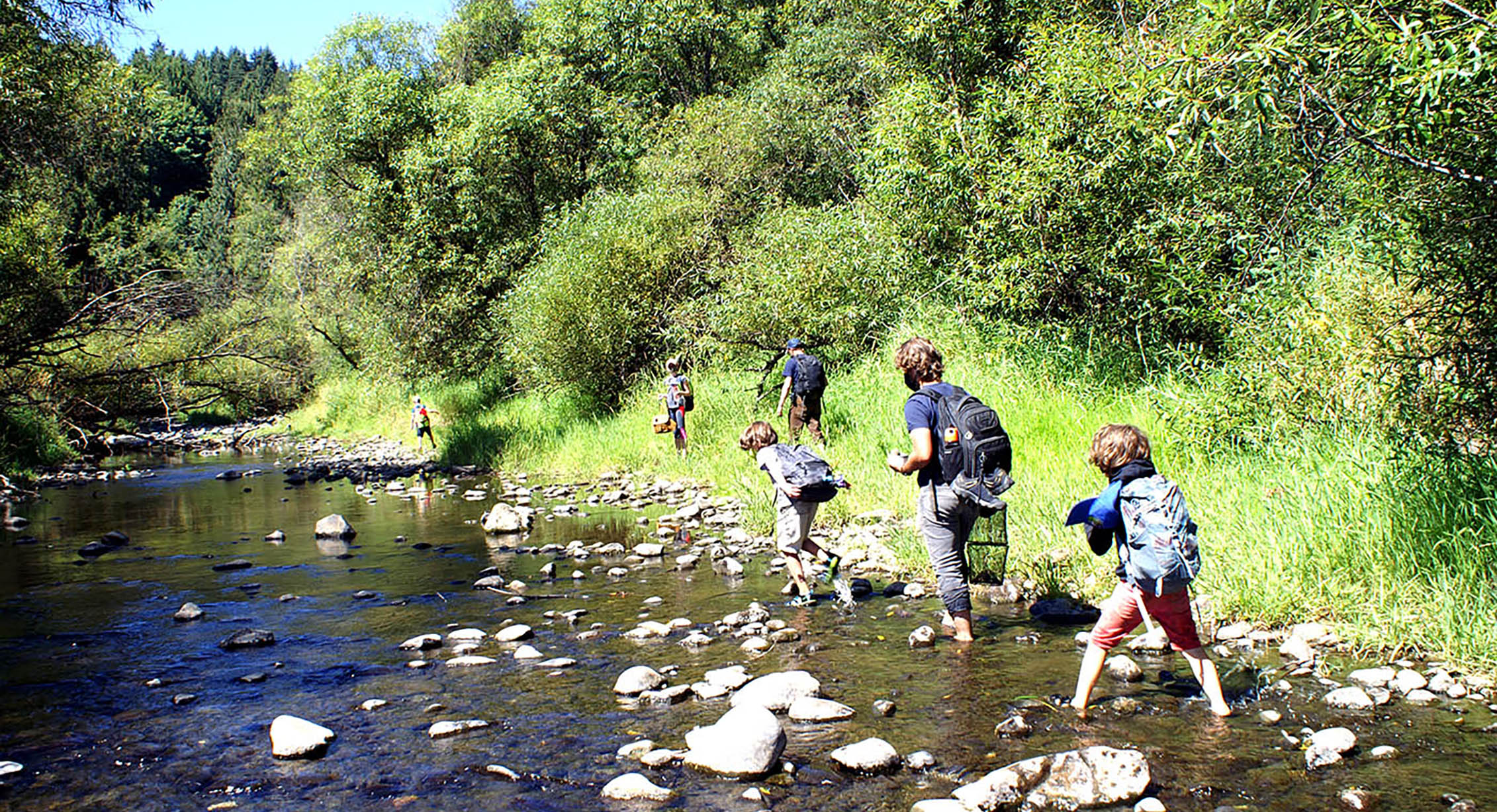 Kids walking in a stream at summer camp